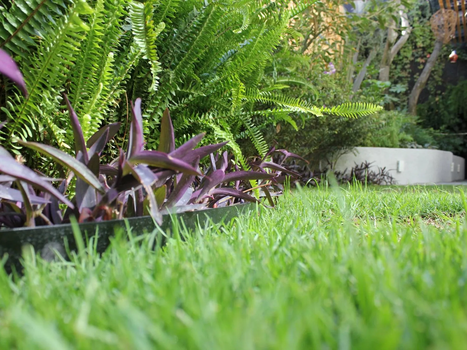 JARDÍN PALMAS — vista 7