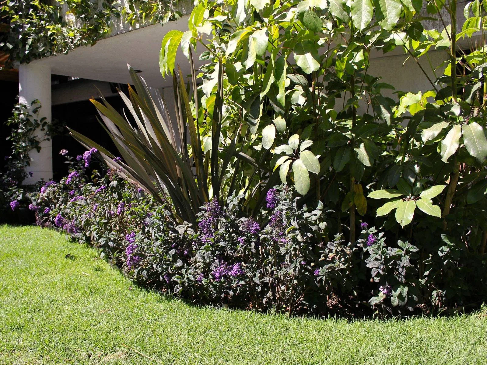JARDÍN PALMAS — vista 9
