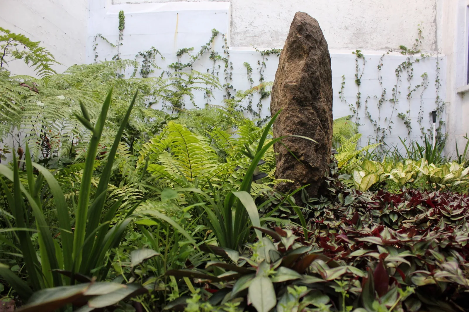 Patio Condesa — vista 4
