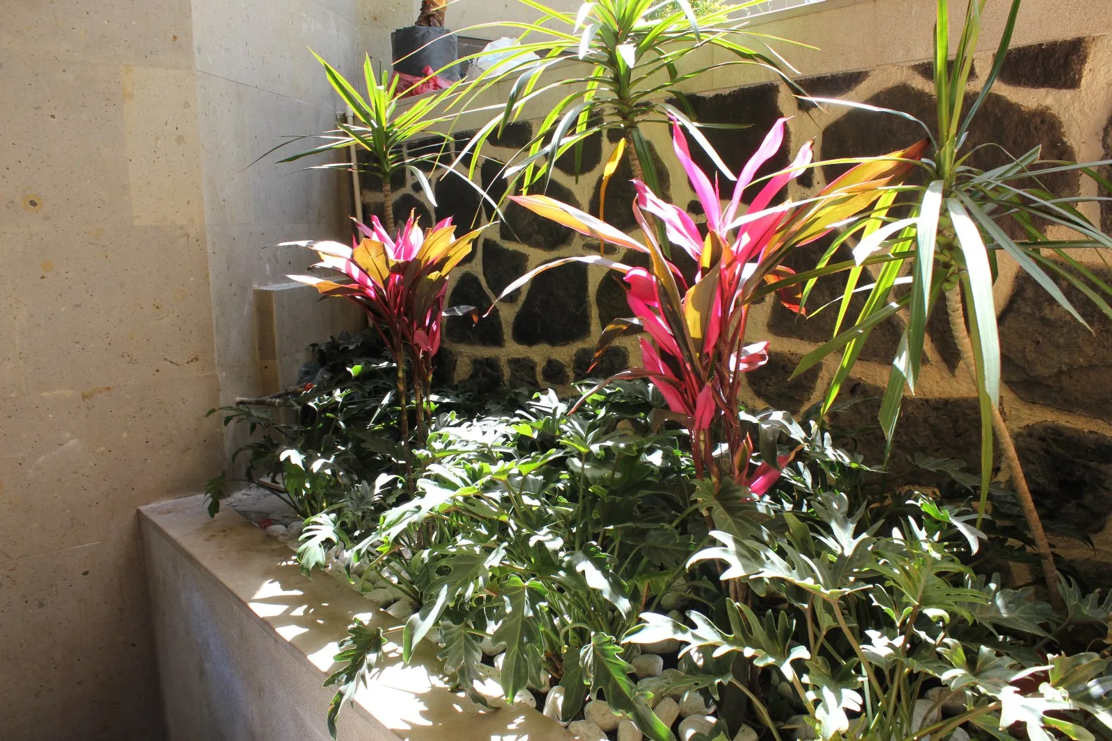 Jardín Las Águilas — vista 10