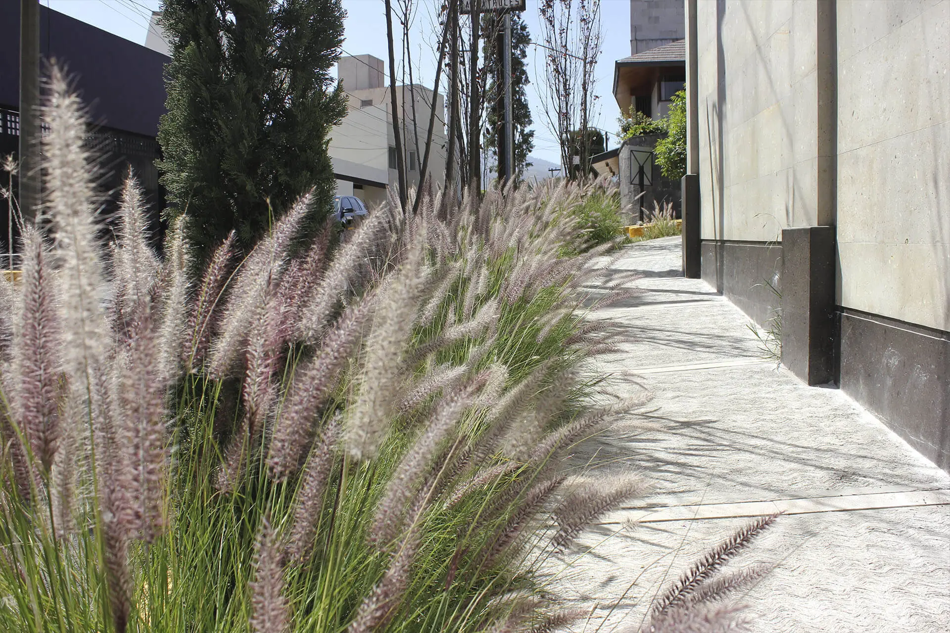 Jardín Las Águilas — vista 3