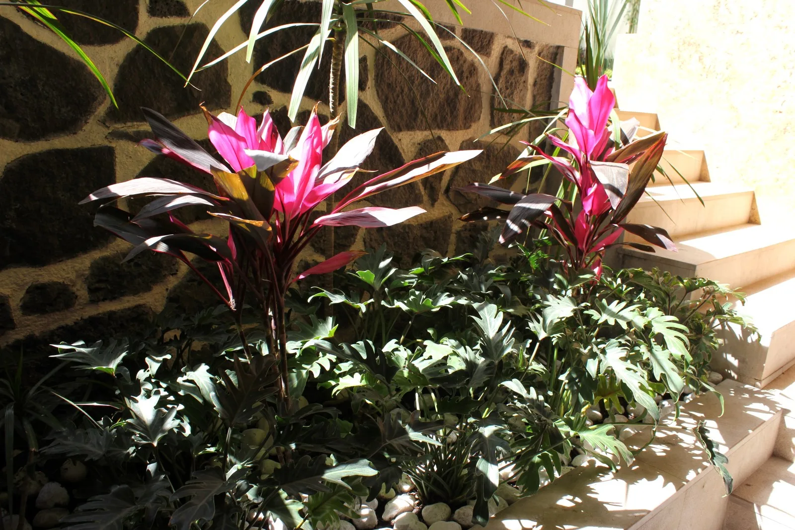 Jardín Las Águilas — vista 9