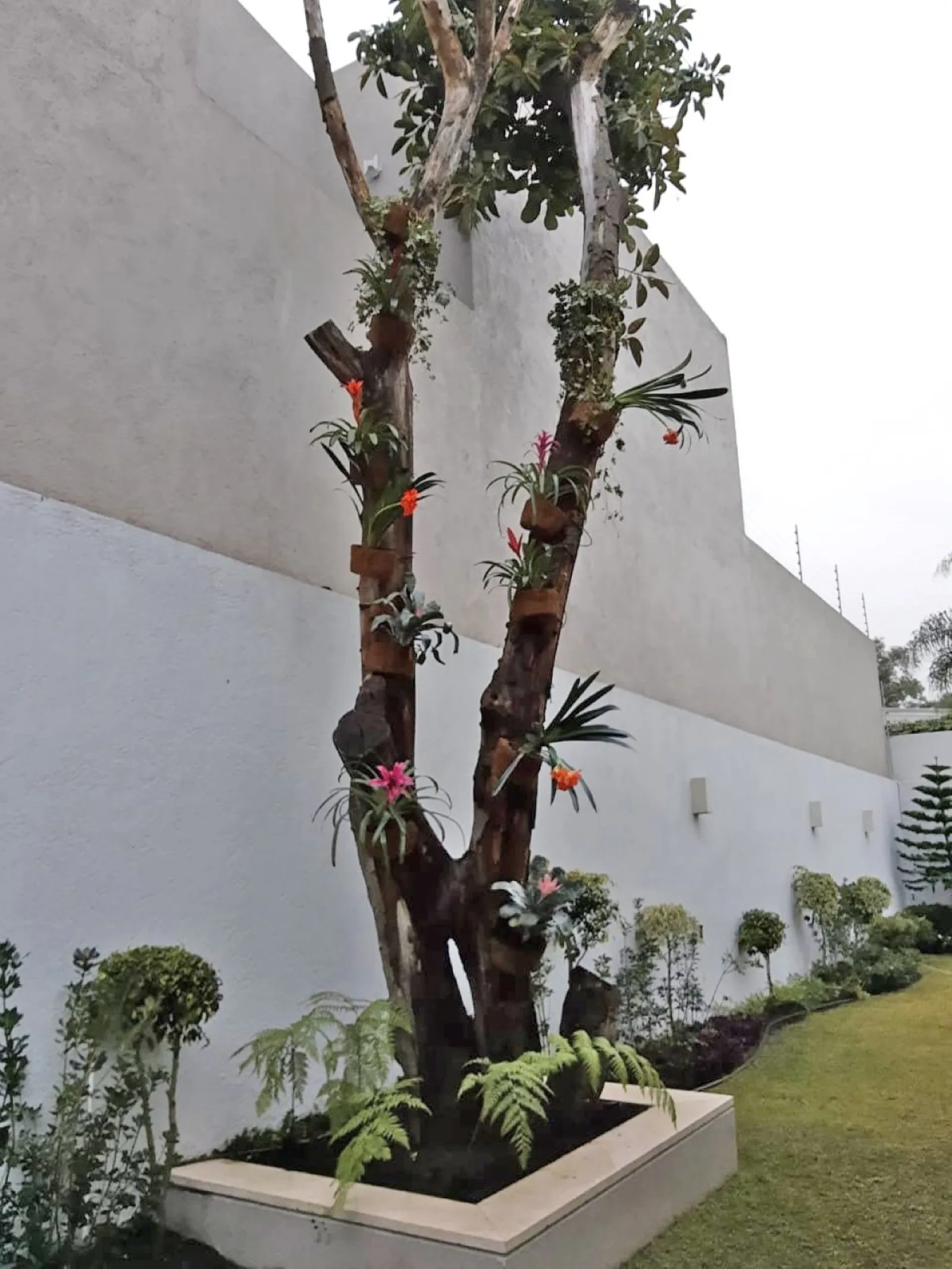 JARDÍN FUENTES — vista 2