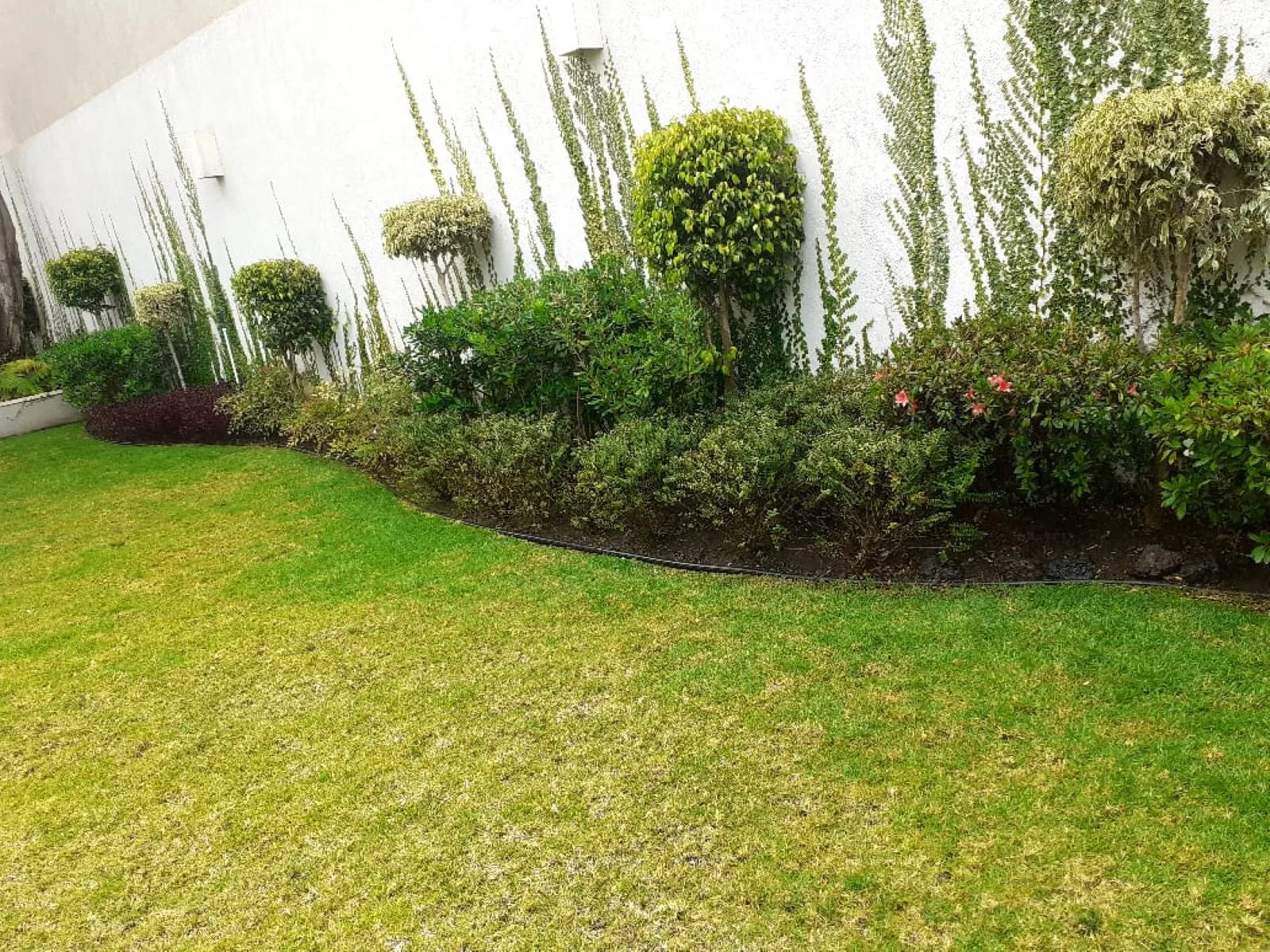 JARDÍN FUENTES — vista 3