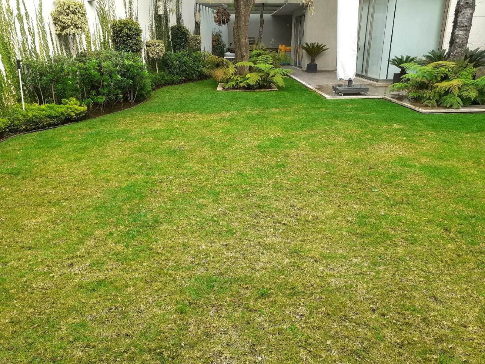 JARDÍN FUENTES — vista 4