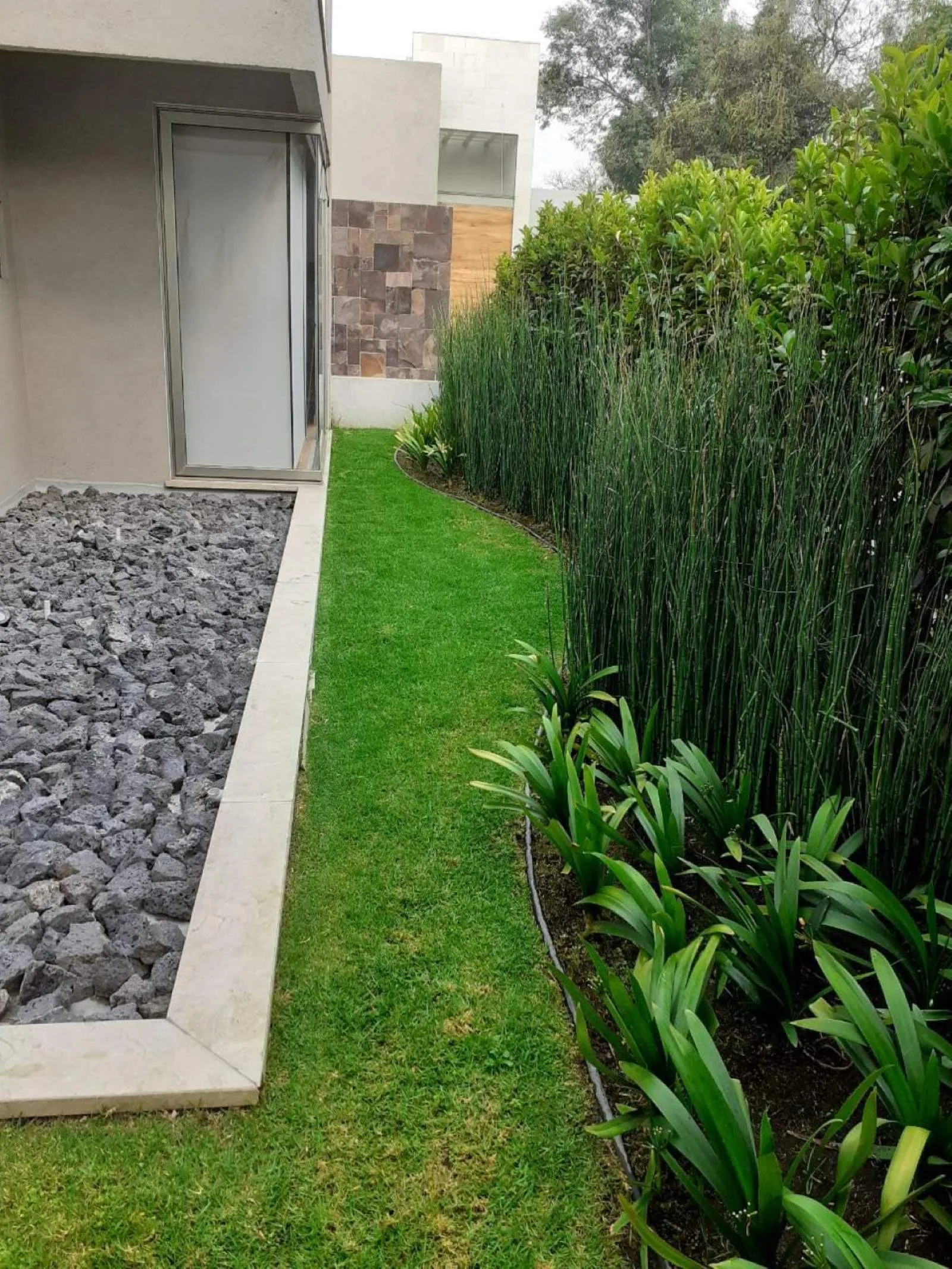 JARDÍN FUENTES — vista 5