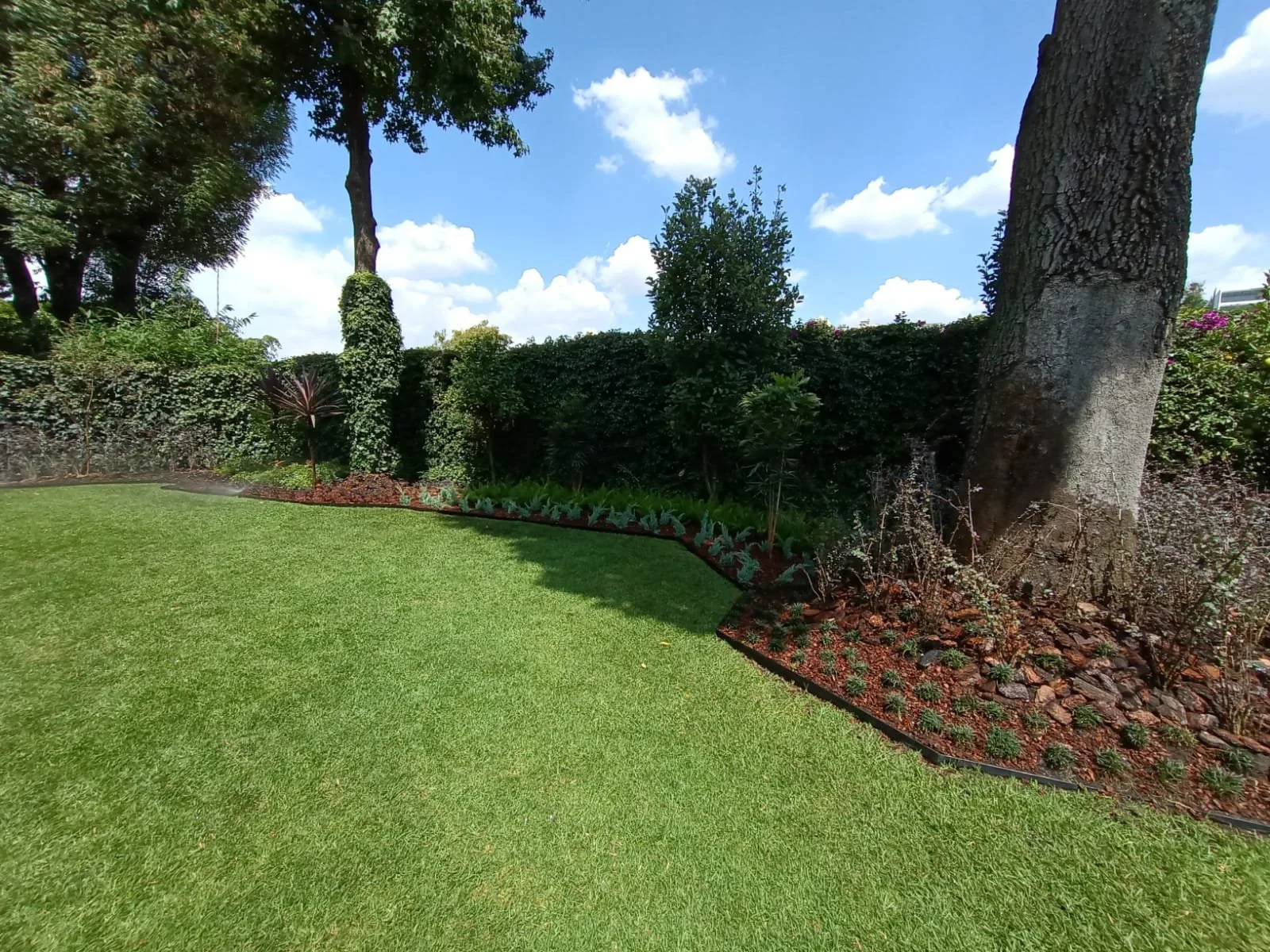JARDÍN JAMAICA — vista 2