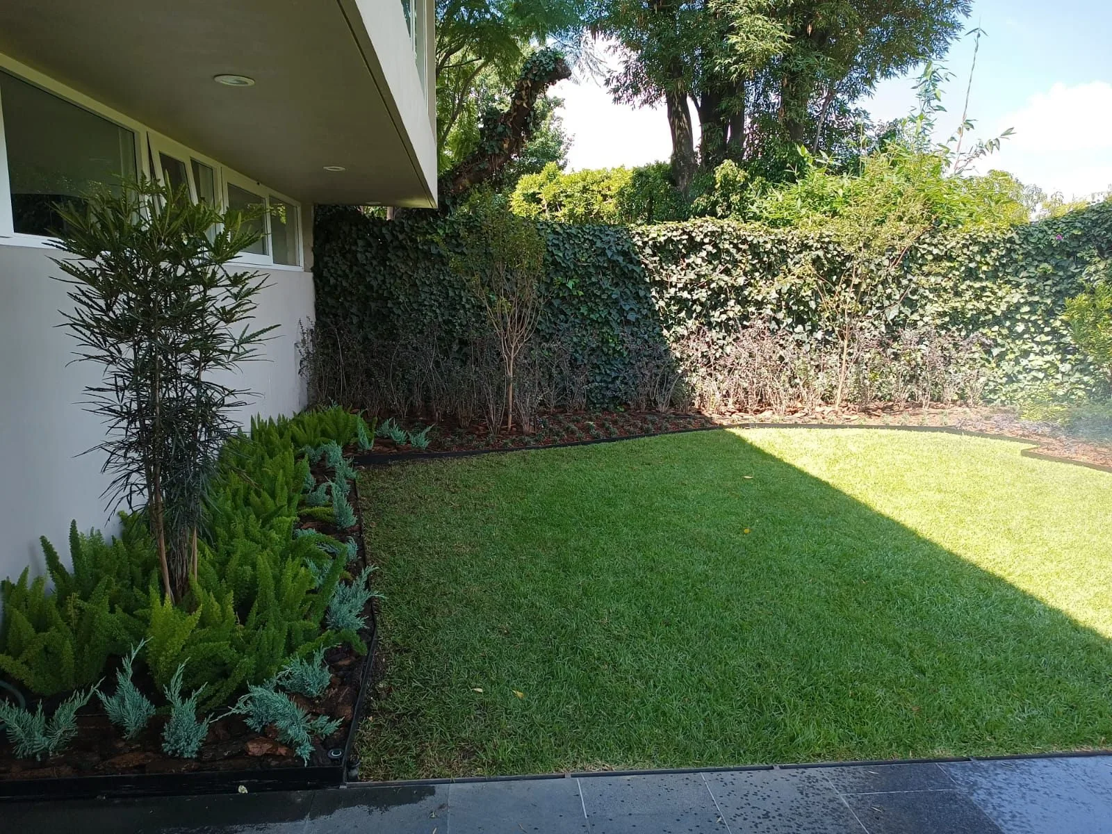 JARDÍN JAMAICA — vista 5