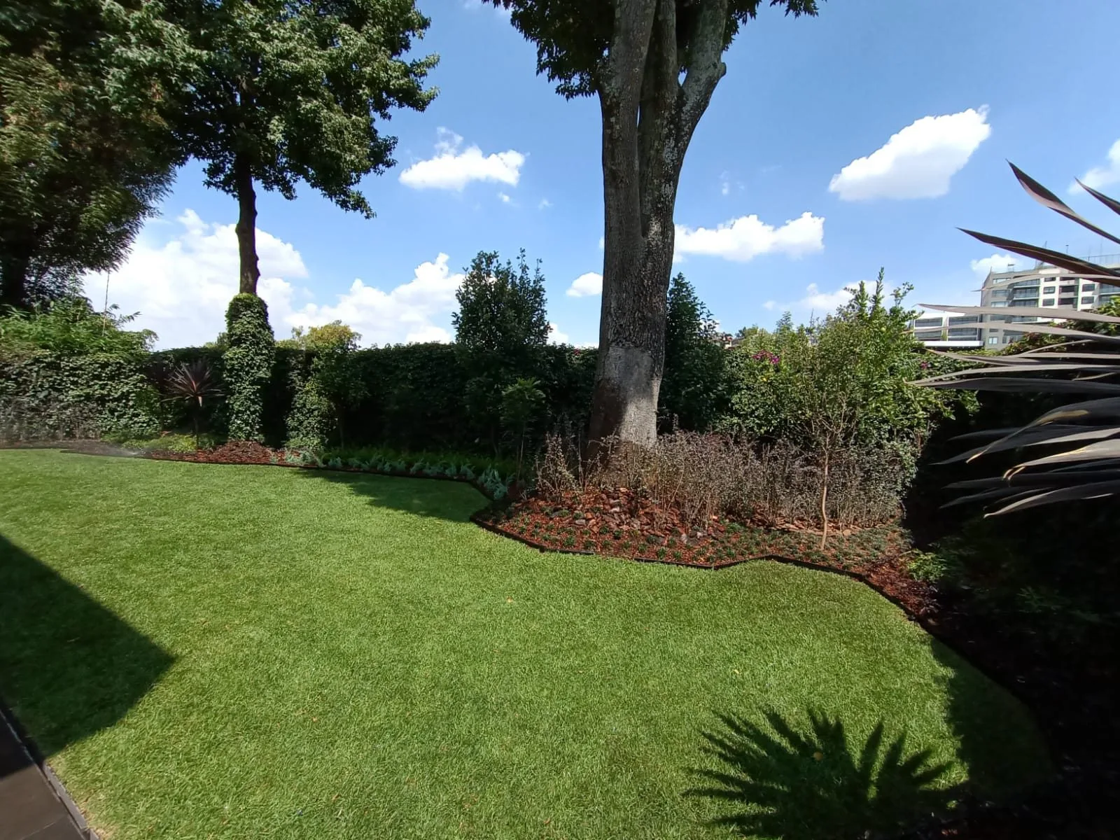 Obra JARDÍN JAMAICA — Hábitat Verde