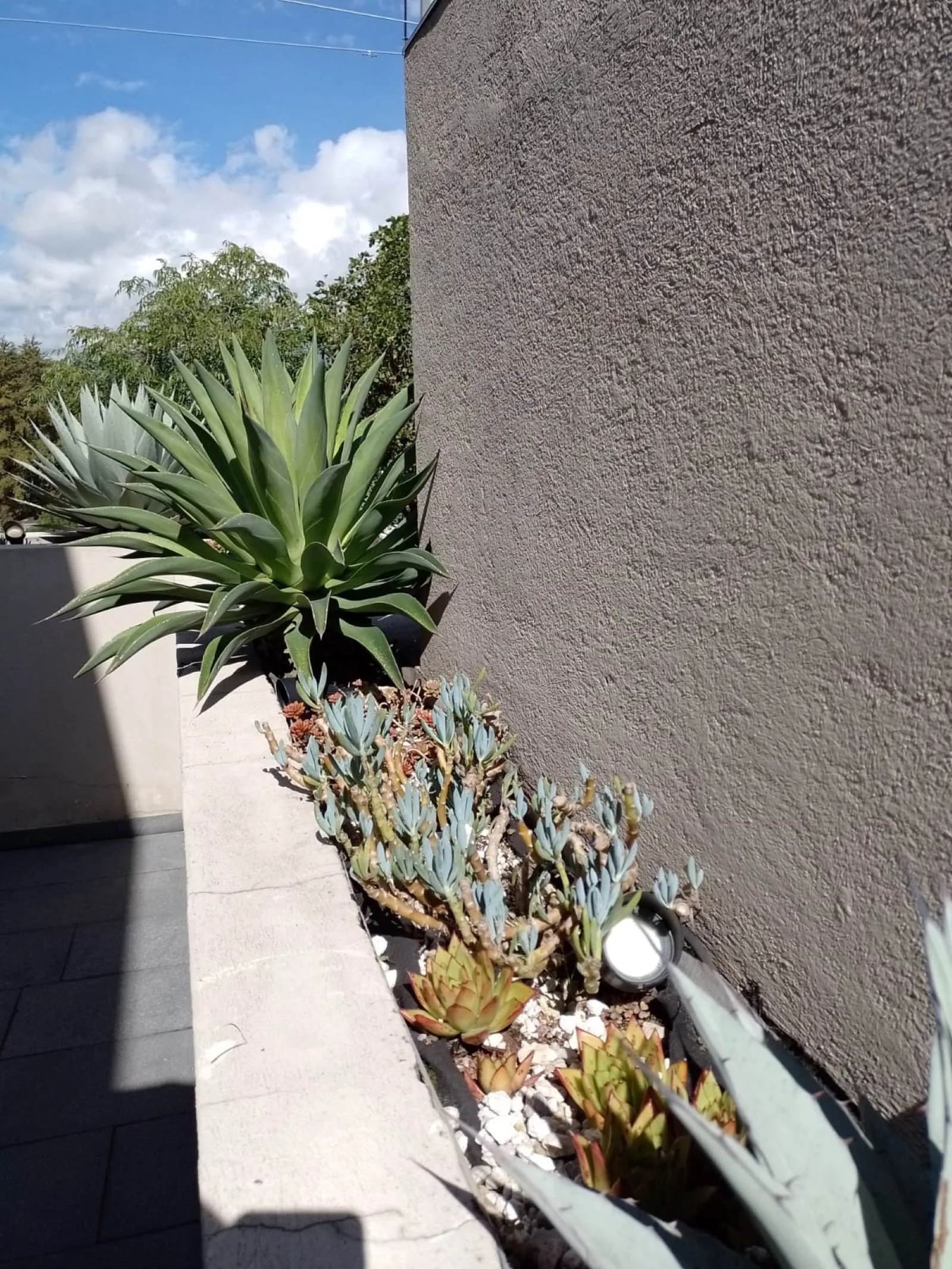 JARDÍN TORRES — vista 1