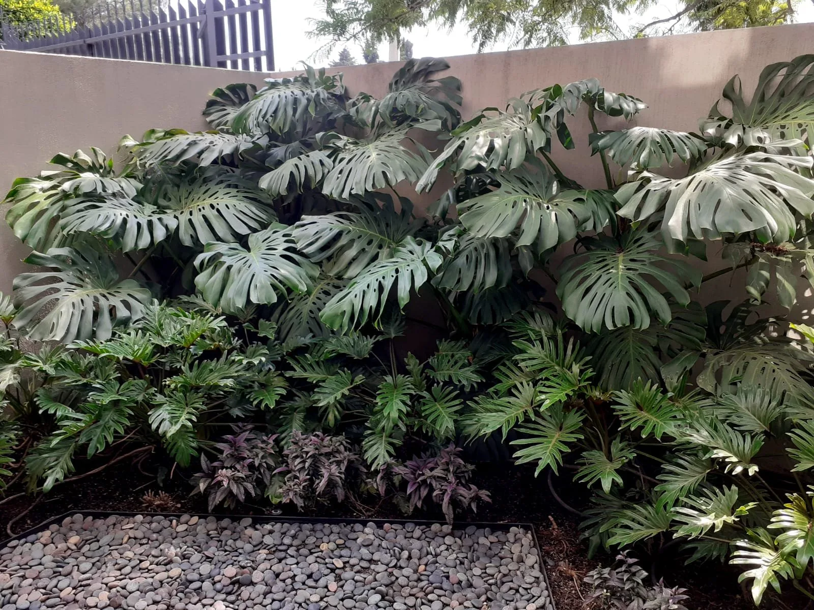 JARDÍN TORRES — vista 2