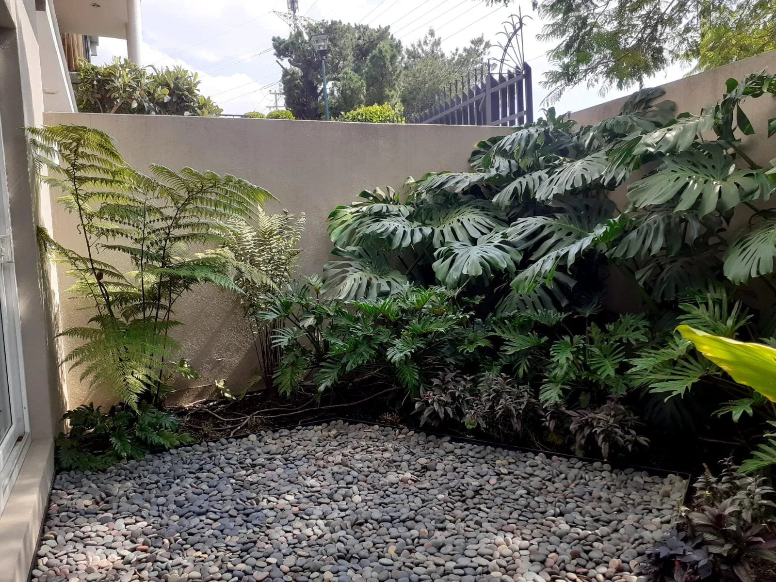 JARDÍN TORRES — vista 4