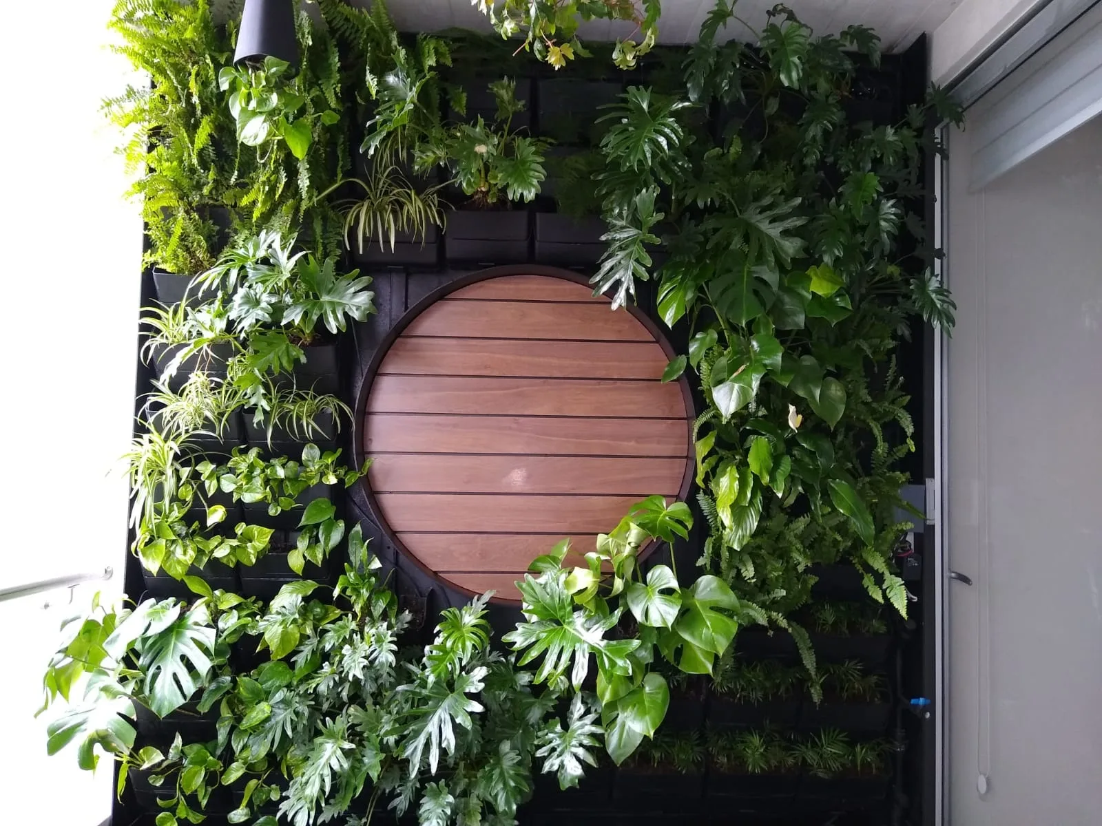 TERRAZA COBALTO — vista 2