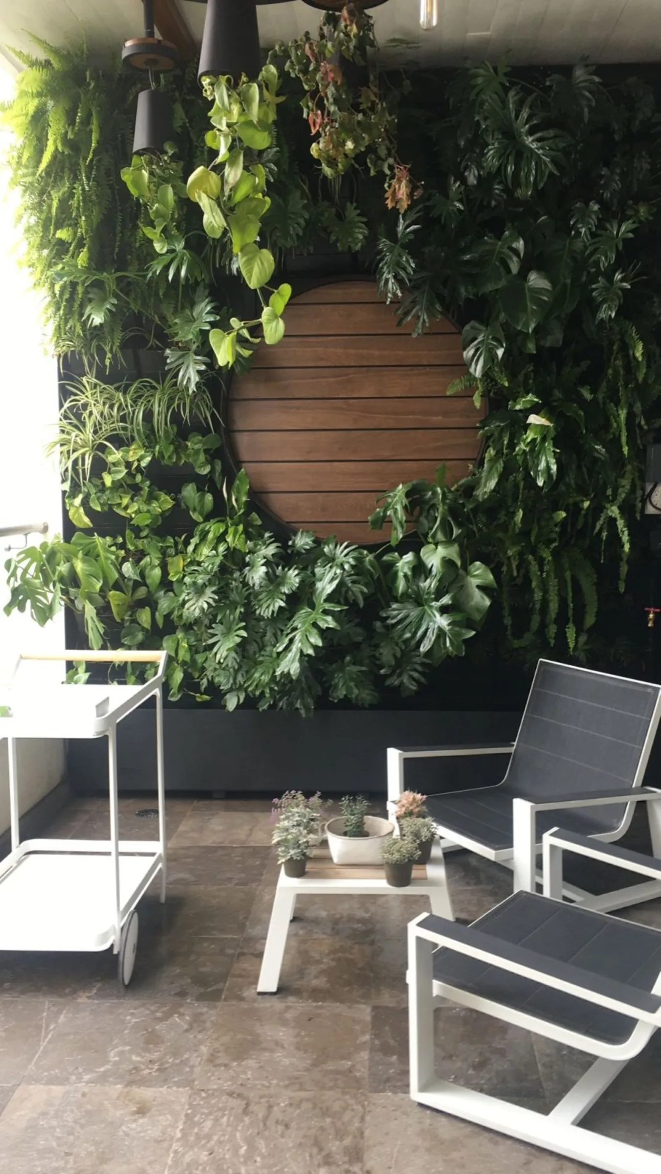 TERRAZA COBALTO — vista 4